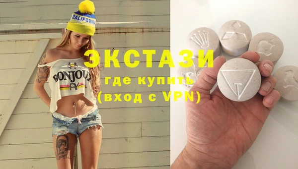 гидра Каменка