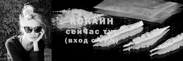 гидра Каменка
