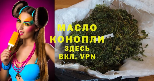 гидра Каменка