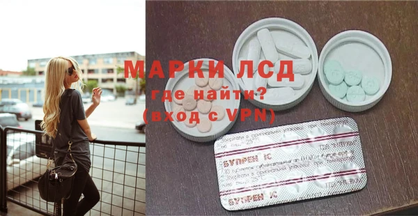 гидра Каменка