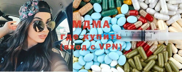 гидра Каменка