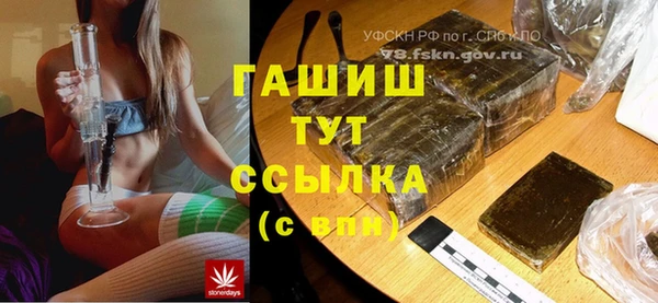 гидра Каменка
