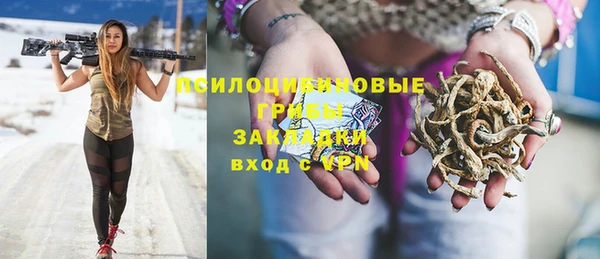 гидра Каменка