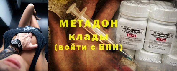 гидра Каменка