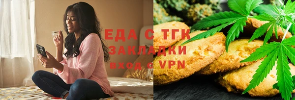 гидра Каменка